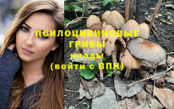 твердый Балахна